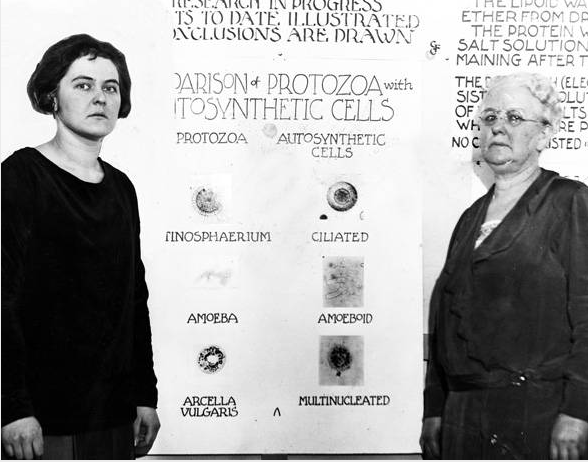 Dr. Amy Farley Rowland & Dr. Maria Telkes  Discovery of autosynthetic cells.
Picture taken 12-31-1930